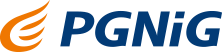 logo: PGNIG